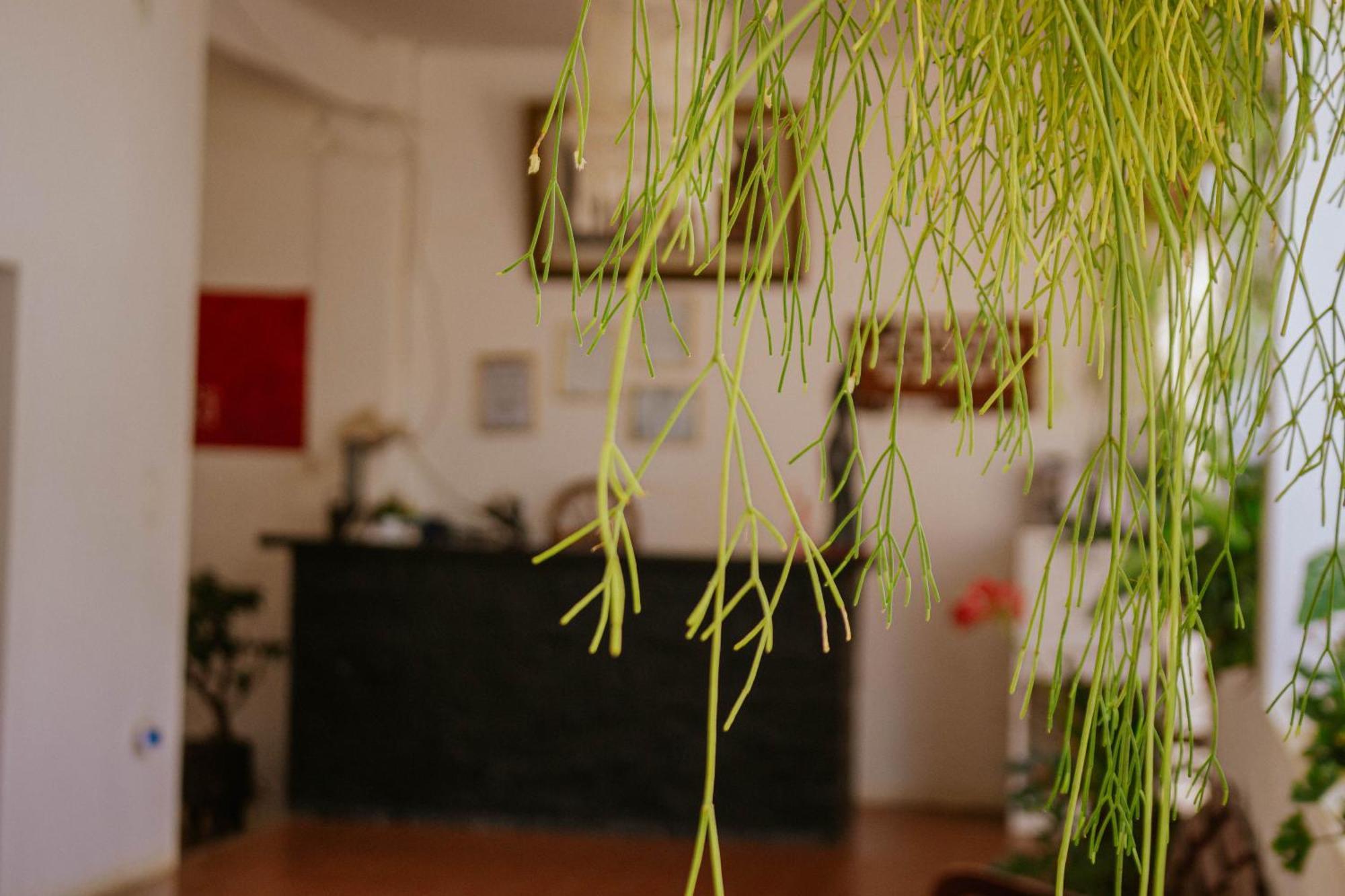 Hotel Casablanca Samaipata Ngoại thất bức ảnh