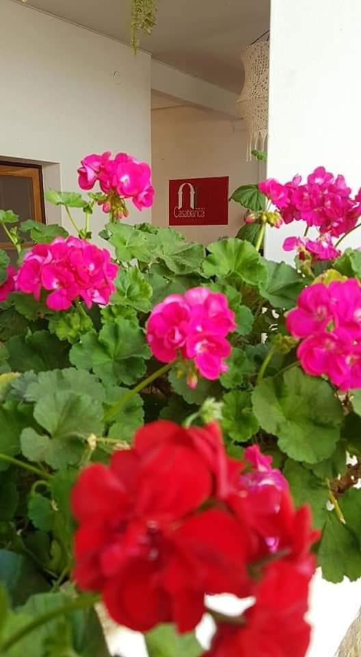 Hotel Casablanca Samaipata Ngoại thất bức ảnh